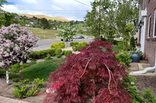 786 E 11th Ave N, Salt Lake City, UT 84103 - Photo 5