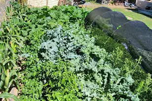 574 W Harding Ave N, Cedar City, UT 84720 - Photo 33