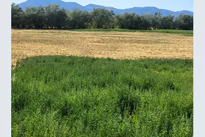 14900 S 11130 W, Goshen, UT 84633 - Photo 1