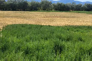 14900 S 11130 W, Goshen, UT 84633 - Photo 1