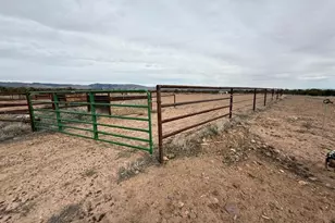 10294 N Zero E, Roosevelt, UT 84066 - Photo 103