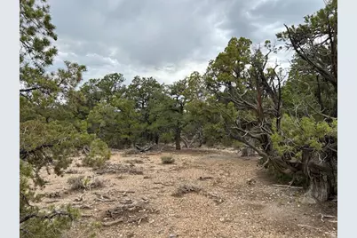 [Address not provided], Fruitland, UT 84027 - Photo 5