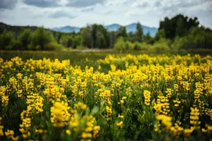 7551 E Stardust Ct, Heber City, UT 84036 - Photo 39
