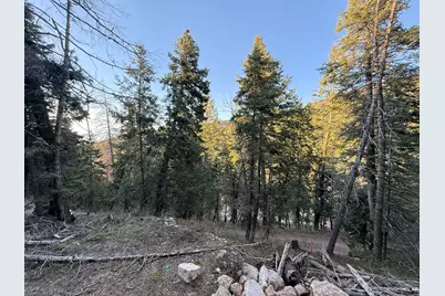 38 Pine Creek Rd #A38, Mount Pleasant, UT 84647 - Photo 3