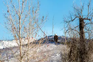 7360 N Victory Clb Dr, Heber City, UT 84032 - Photo 87