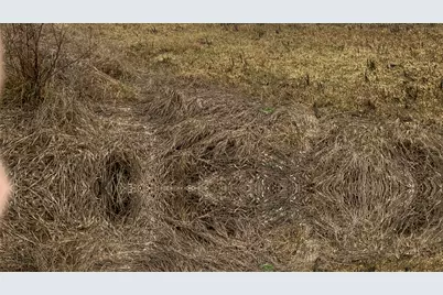 2898 W North Plain City Rd, Plain City, UT 84404 - Photo 51