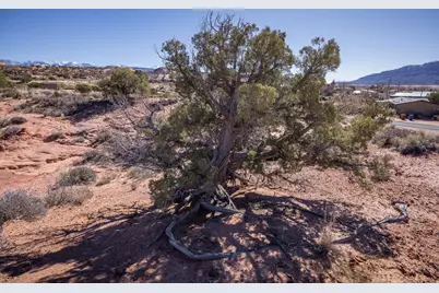 3239 Carroll Dr, Moab, UT 84532 - Photo 15