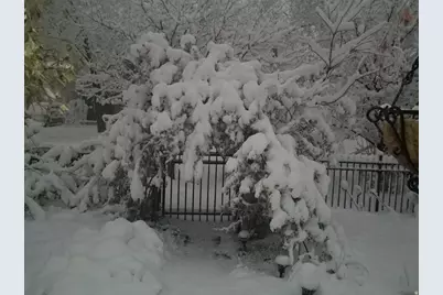 1812 S Park St, Salt Lake City, UT 84105 - Photo 11