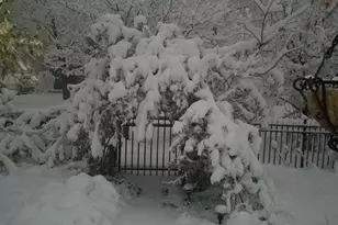 1812 S Park St, Salt Lake City, UT 84105 - Photo 11