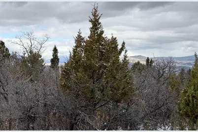 150 Mountain View Rd #150, Mount Pleasant, UT 84647 - Photo 25