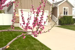 1612 E 925 S, Clearfield, UT 84015 - Photo 37