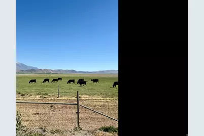 2174 N York Ln #5, Genola, UT 84655 - Photo 3
