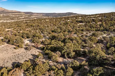 [Address not provided], Duchesne, UT 84021 - Photo 5