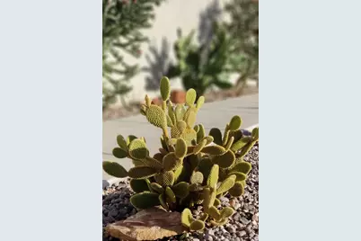 3288 W 2570 S, Hurricane, UT 84737 - Photo 55