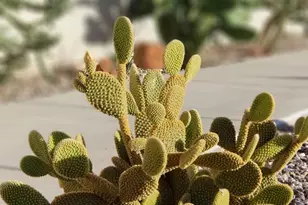 3288 W 2570 S, Hurricane, UT 84737 - Photo 55