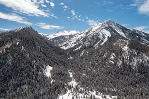 9443 E Wild Clematis Ln S, Brighton, UT 84121 - Photo 5