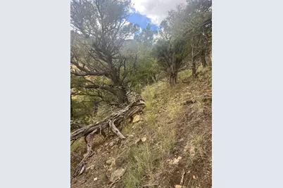 [Address not provided], Duchesne, UT 84021 - Photo 5