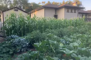 1932 E Charleston Ln, Holladay, UT 84121 - Photo 55