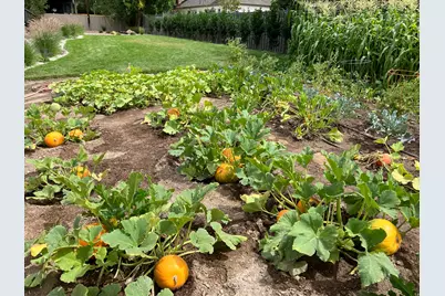 1932 E Charleston Ln, Holladay, UT 84121 - Photo 53