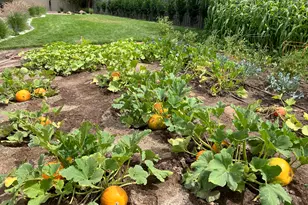 1932 E Charleston Ln, Holladay, UT 84121 - Photo 53