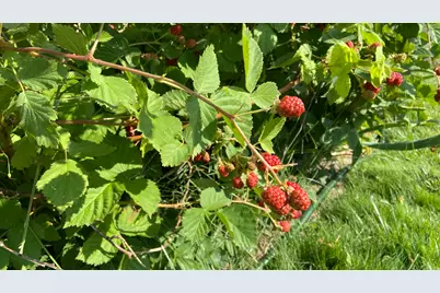 4641 W 5675 S, Hooper, UT 84315 - Photo 33