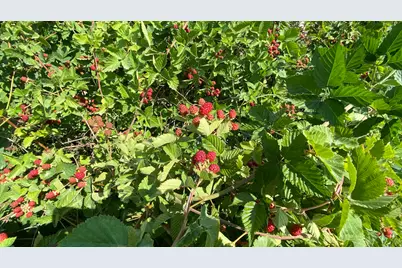 4641 W 5675 S, Hooper, UT 84315 - Photo 31