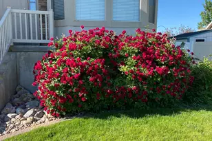 4641 W 5675 S, Hooper, UT 84315 - Photo 21