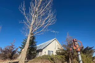 1278 N 3500 E, Ballard, UT 84066 - Photo 25