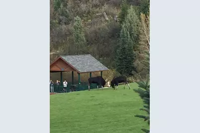 3321 W Big Sruce Way #E54, Park City, UT 84098 - Photo 59