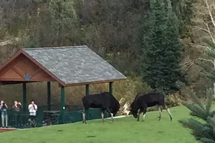 3321 W Big Sruce Way, Park City, UT 84098 - Photo 59