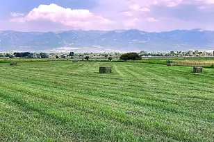 19600 N 8250 E, Mount Pleasant, UT 84647 - Photo 61