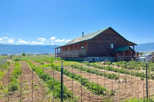 19600 N 8250 E, Mount Pleasant, UT 84647 - Photo 45