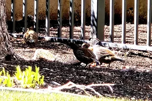 850 S Donner Way, Salt Lake City, UT 84108 - Photo 45