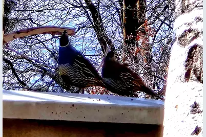 850 S Donner Way #300, Salt Lake City, UT 84108 - Photo 45