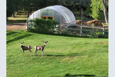 290 E State Road 29, Orangeville, UT 84537 - Photo 63