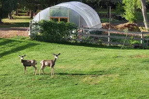 290 E State Road 29, Orangeville, UT 84537 - Photo 63