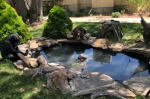 290 E State Road 29, Orangeville, UT 84537 - Photo 57