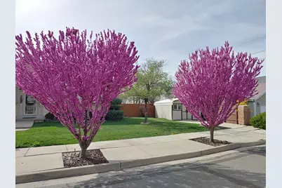 4210 S Caroleen Way E, Millcreek, UT 84124 - Photo 3