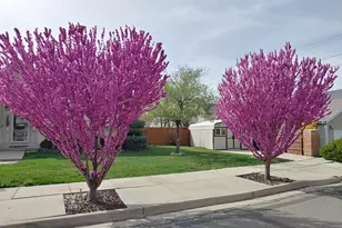 4210 S Caroleen Way E, Millcreek, UT 84124 - Photo 3