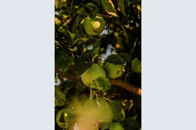 564 S 300 W, Helper, UT 84526 - Photo 21