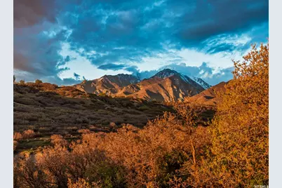 2015 E Dimple Dell Rd, Sandy, UT 84092 - Photo 43