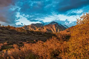 2015 E Dimple Dell Rd, Sandy, UT 84092 - Photo 43