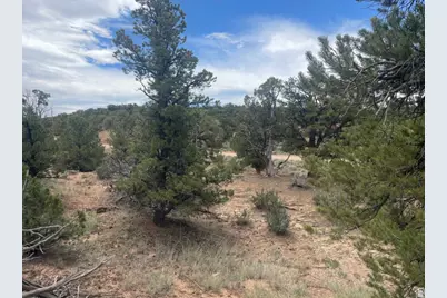 [Address not provided], Fruitland, UT 84027 - Photo 11