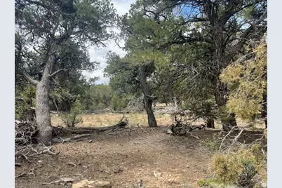 [Address not provided], Fruitland, UT 84027 - Photo 19