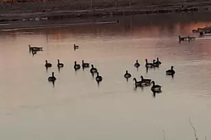 4273 W 3800 S, West Haven, UT 84401 - Photo 23