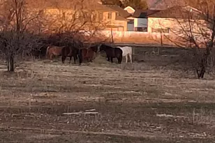 4273 W 3800 S, West Haven, UT 84401 - Photo 25