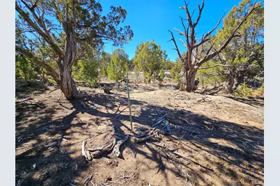 [Address not provided], Fruitland, UT 84027 - Photo 63