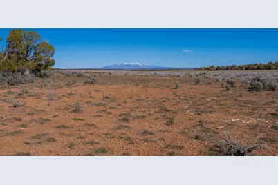 335 N North Old Hwy, Monticello, UT 84535 - Photo 19