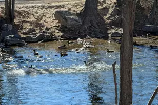 1524 W Merlin Dr, Provo, UT 84601 - Photo 23