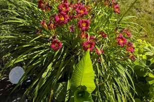 1515 E Gentile St, Layton, UT 84040 - Photo 79